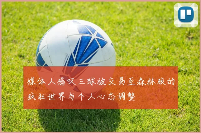 媒体人感叹三球被交易至森林狼的疯狂世界与个人心态调整