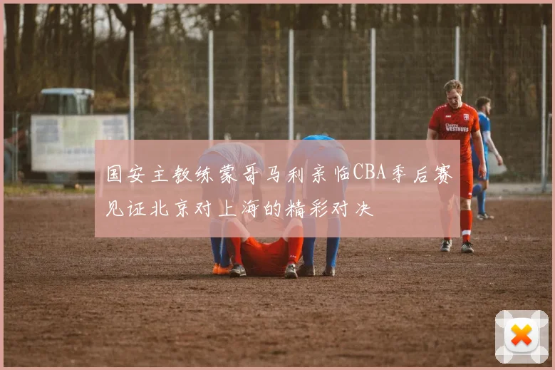国安主教练蒙哥马利亲临CBA季后赛见证北京对上海的精彩对决
